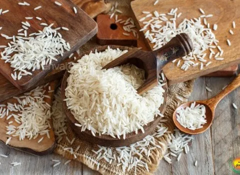 https://shp.aradbranding.com/خرید برنج فجر شمالی + قیمت فروش استثنایی